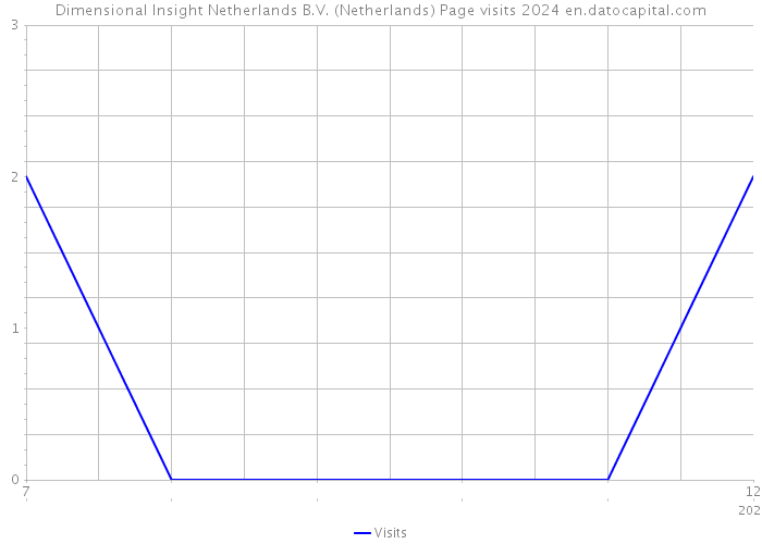 Dimensional Insight Netherlands B.V. (Netherlands) Page visits 2024 