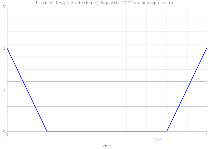 Pascal de Keyser (Netherlands) Page visits 2024 
