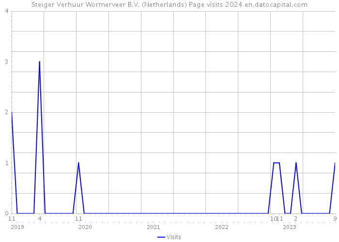 Steiger Verhuur Wormerveer B.V. (Netherlands) Page visits 2024 