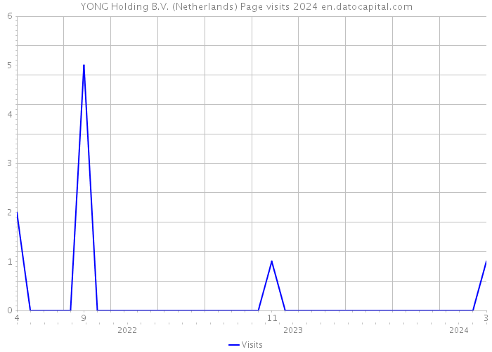 YONG Holding B.V. (Netherlands) Page visits 2024 