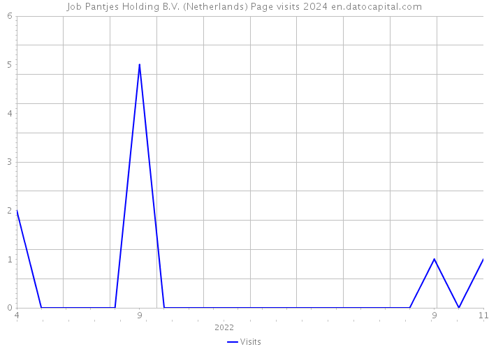 Job Pantjes Holding B.V. (Netherlands) Page visits 2024 