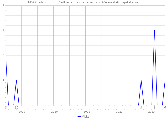 MVO Holding B.V. (Netherlands) Page visits 2024 