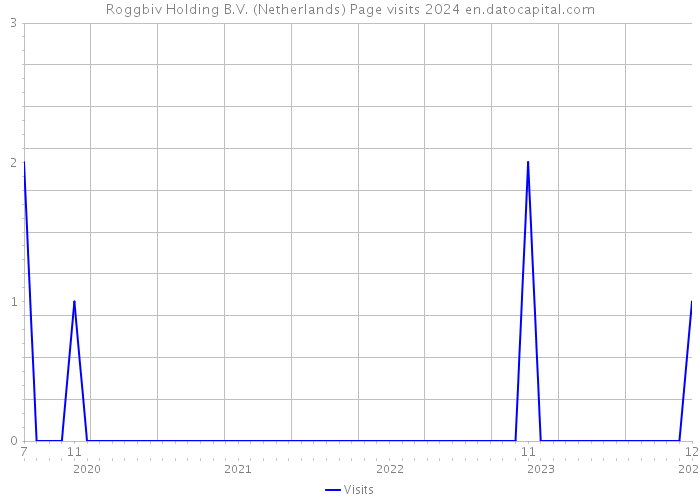 Roggbiv Holding B.V. (Netherlands) Page visits 2024 