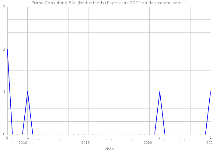 Prime Consulting B.V. (Netherlands) Page visits 2024 