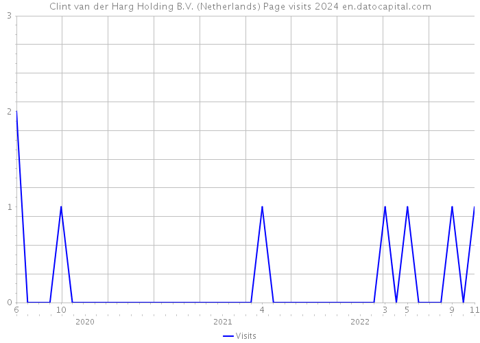 Clint van der Harg Holding B.V. (Netherlands) Page visits 2024 