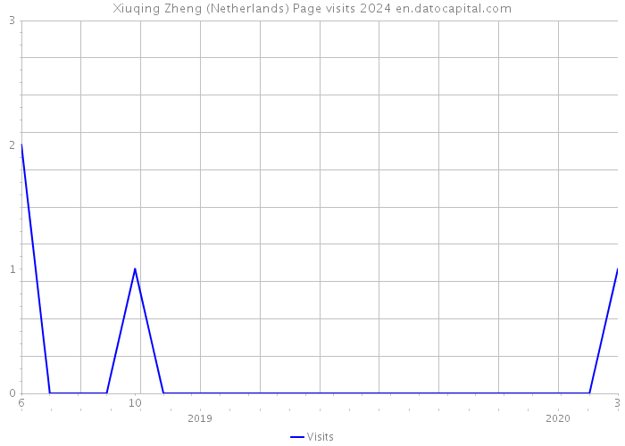 Xiuqing Zheng (Netherlands) Page visits 2024 