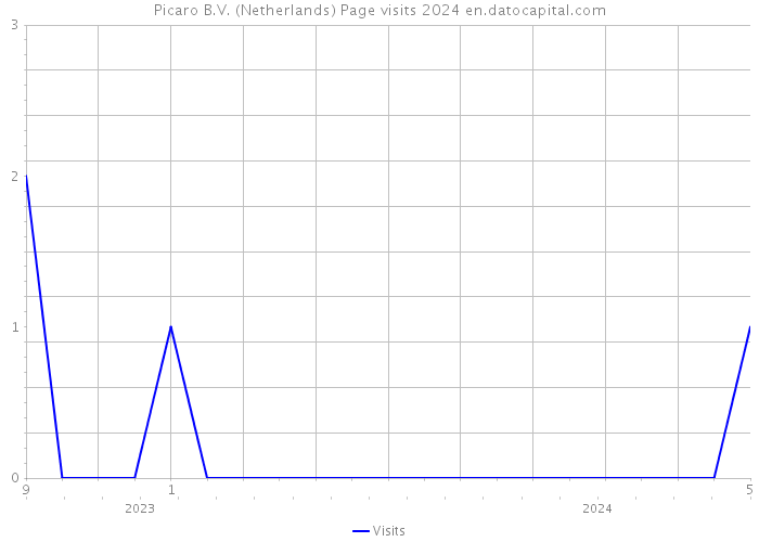 Picaro B.V. (Netherlands) Page visits 2024 
