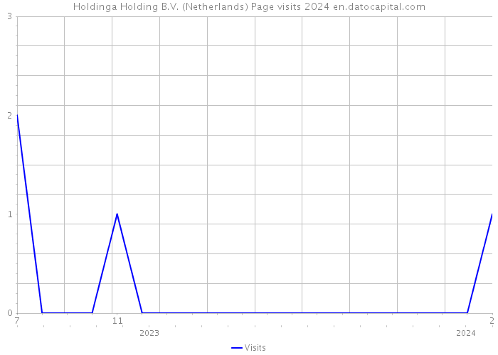 Holdinga Holding B.V. (Netherlands) Page visits 2024 