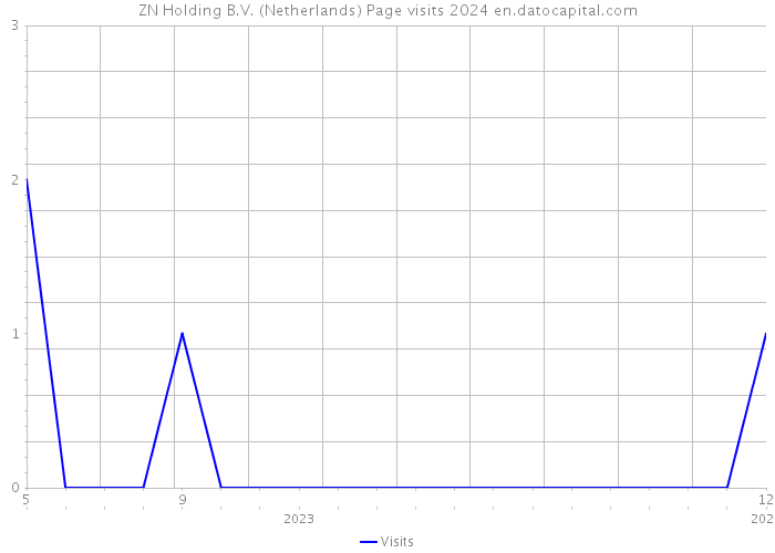 ZN Holding B.V. (Netherlands) Page visits 2024 