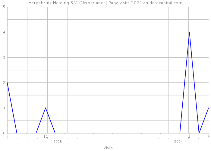 Hergebruik Holding B.V. (Netherlands) Page visits 2024 