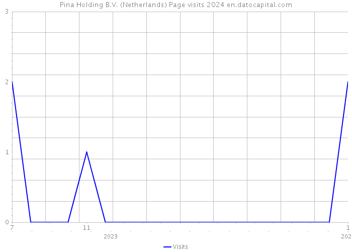 Pina Holding B.V. (Netherlands) Page visits 2024 