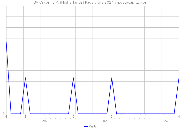IBV Oscom B.V. (Netherlands) Page visits 2024 