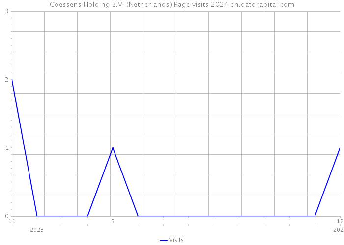 Goessens Holding B.V. (Netherlands) Page visits 2024 