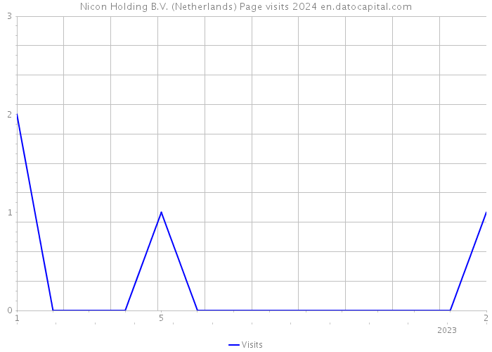 Nicon Holding B.V. (Netherlands) Page visits 2024 