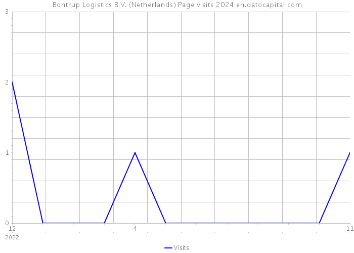 Bontrup Logistics B.V. (Netherlands) Page visits 2024 