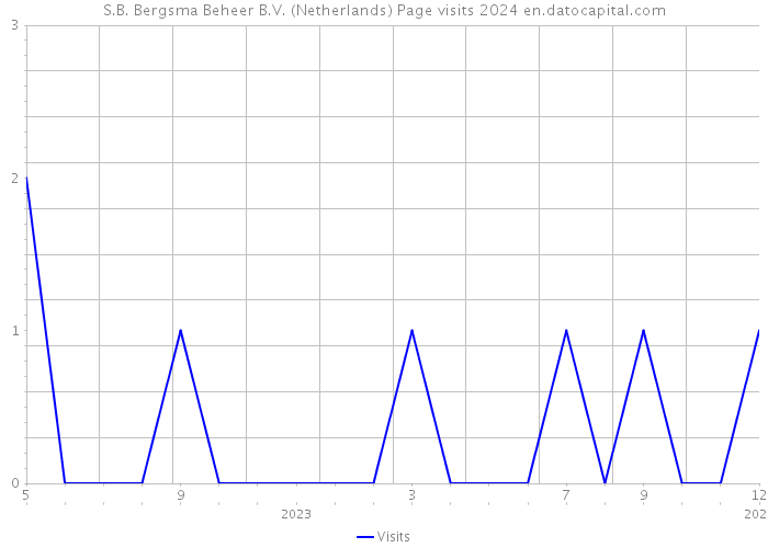 S.B. Bergsma Beheer B.V. (Netherlands) Page visits 2024 