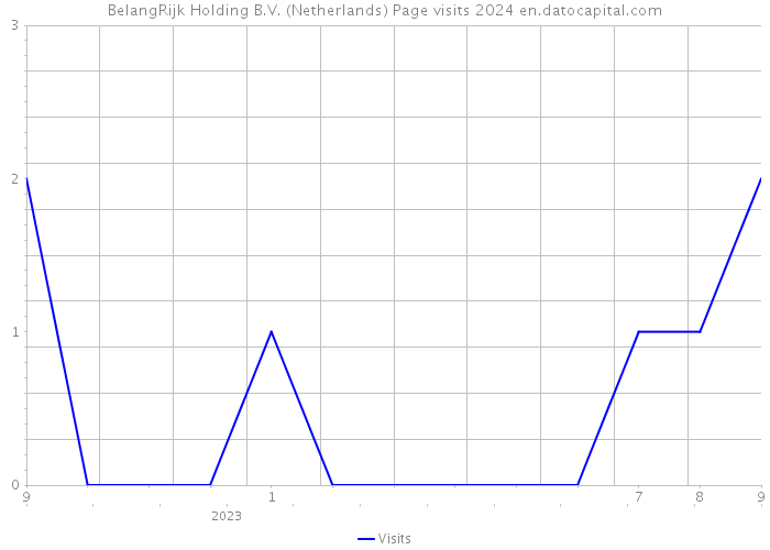 BelangRijk Holding B.V. (Netherlands) Page visits 2024 