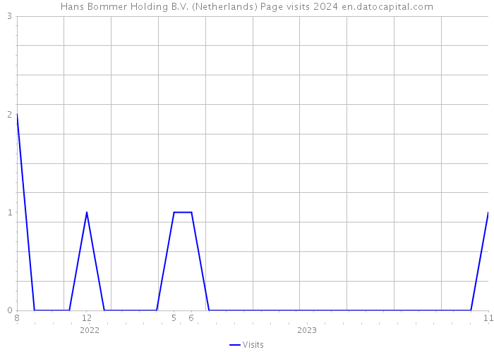 Hans Bommer Holding B.V. (Netherlands) Page visits 2024 