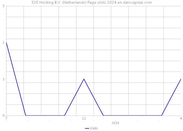 325 Holding B.V. (Netherlands) Page visits 2024 