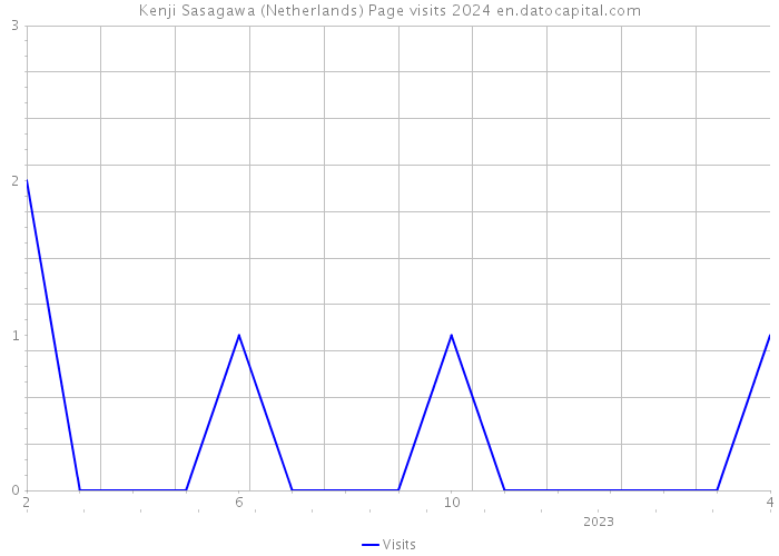Kenji Sasagawa (Netherlands) Page visits 2024 