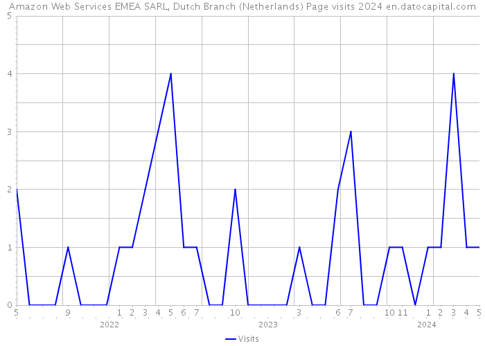 Amazon Web Services EMEA SARL, Dutch Branch (Netherlands) Page visits 2024 