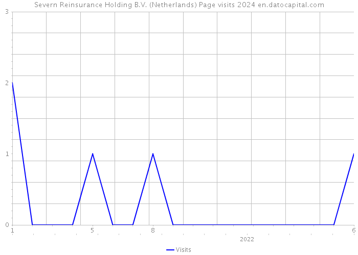 Severn Reinsurance Holding B.V. (Netherlands) Page visits 2024 