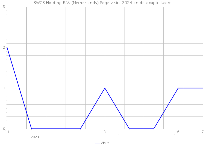 BWGS Holding B.V. (Netherlands) Page visits 2024 