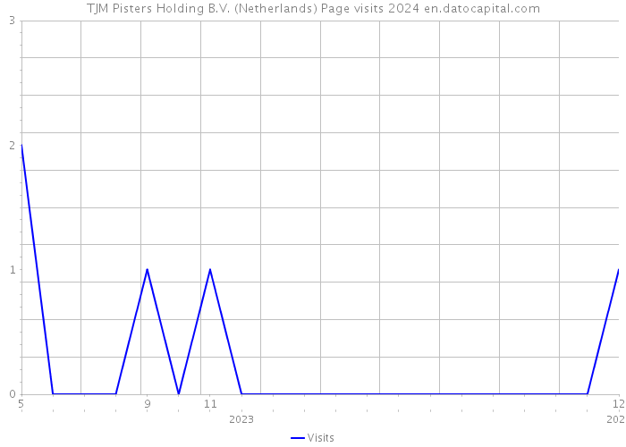 TJM Pisters Holding B.V. (Netherlands) Page visits 2024 