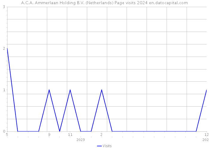 A.C.A. Ammerlaan Holding B.V. (Netherlands) Page visits 2024 