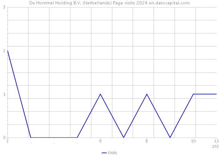 De Hommel Holding B.V. (Netherlands) Page visits 2024 