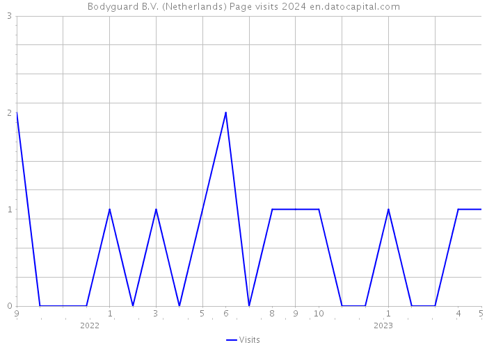 Bodyguard B.V. (Netherlands) Page visits 2024 