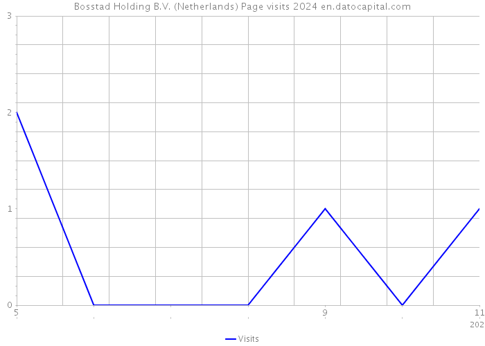 Bosstad Holding B.V. (Netherlands) Page visits 2024 