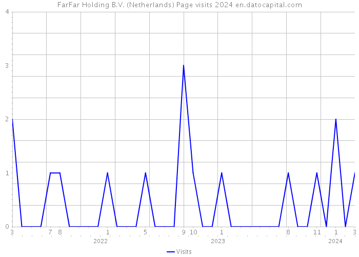 FarFar Holding B.V. (Netherlands) Page visits 2024 