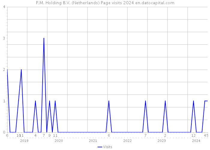 P.M. Holding B.V. (Netherlands) Page visits 2024 