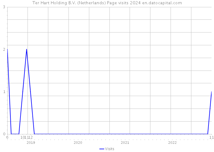 Ter Hart Holding B.V. (Netherlands) Page visits 2024 