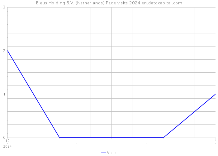 Bleus Holding B.V. (Netherlands) Page visits 2024 
