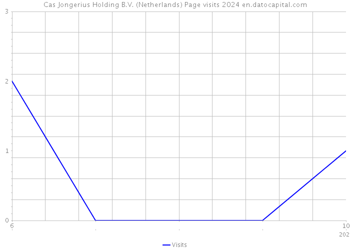 Cas Jongerius Holding B.V. (Netherlands) Page visits 2024 