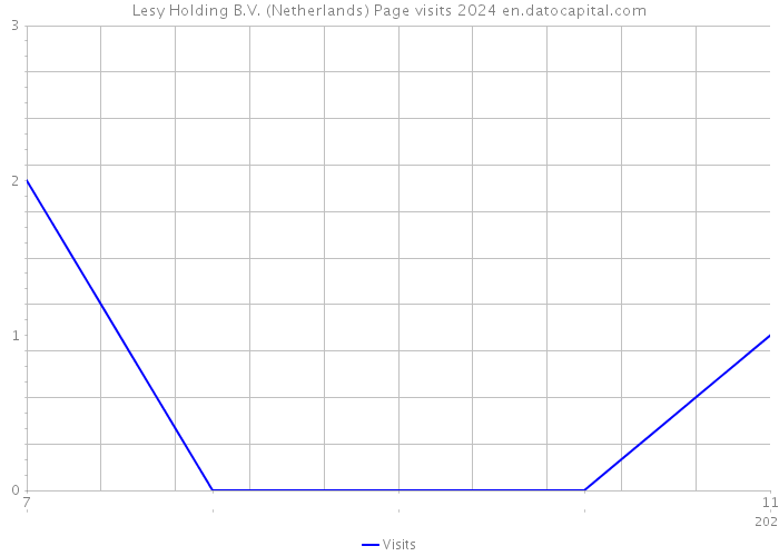 Lesy Holding B.V. (Netherlands) Page visits 2024 