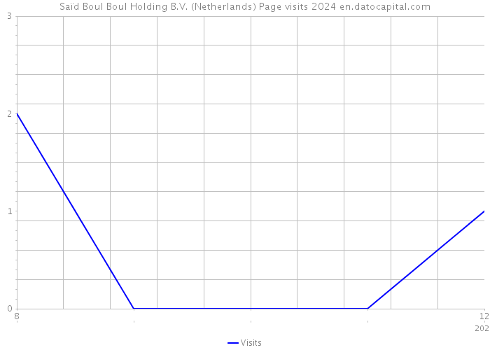 Saïd Boul Boul Holding B.V. (Netherlands) Page visits 2024 