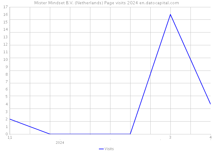 Mister Mindset B.V. (Netherlands) Page visits 2024 