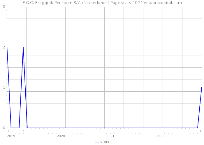 E.G.C. Bruggink Pensioen B.V. (Netherlands) Page visits 2024 