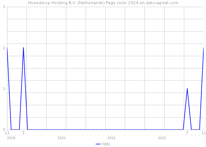 Hoenderop Holding B.V. (Netherlands) Page visits 2024 