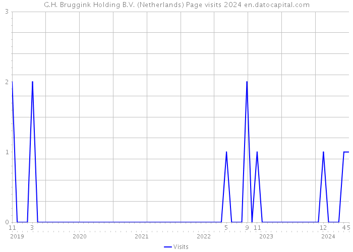G.H. Bruggink Holding B.V. (Netherlands) Page visits 2024 