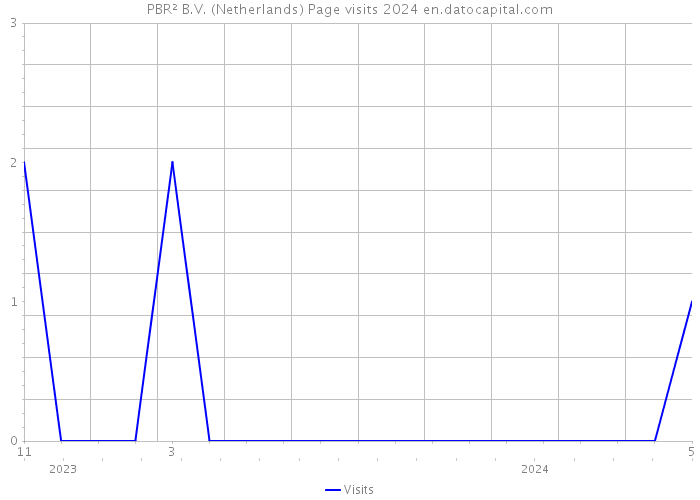 PBR² B.V. (Netherlands) Page visits 2024 