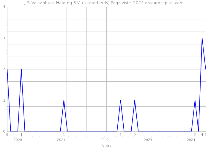 J.P. Valkenburg Holding B.V. (Netherlands) Page visits 2024 