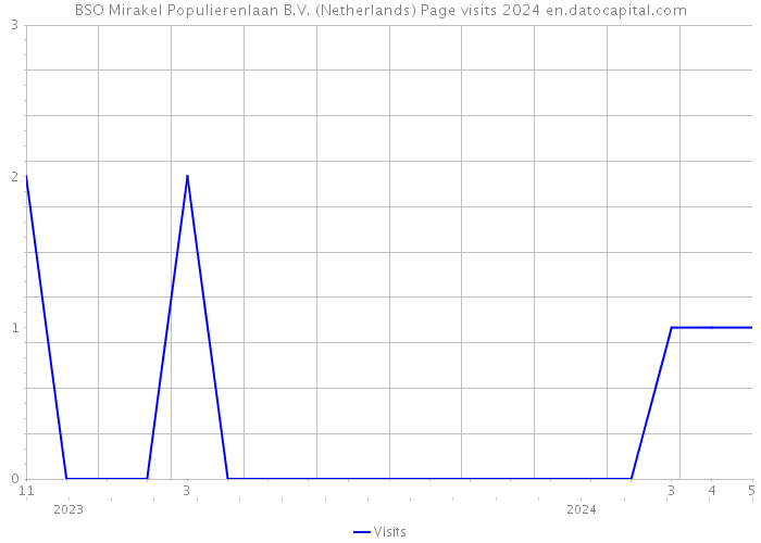 BSO Mirakel Populierenlaan B.V. (Netherlands) Page visits 2024 