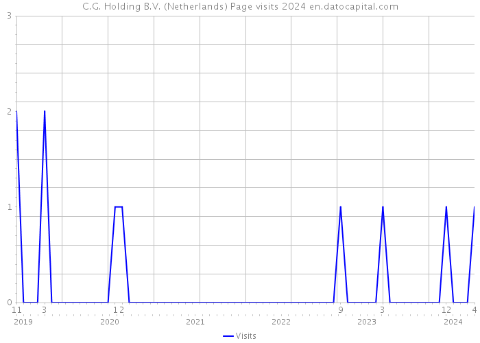 C.G. Holding B.V. (Netherlands) Page visits 2024 