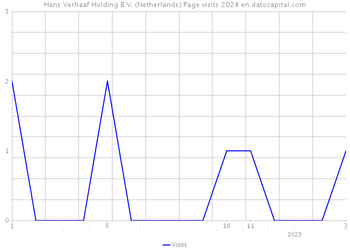 Hans Verhaaf Holding B.V. (Netherlands) Page visits 2024 