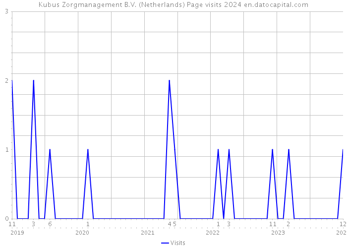 Kubus Zorgmanagement B.V. (Netherlands) Page visits 2024 