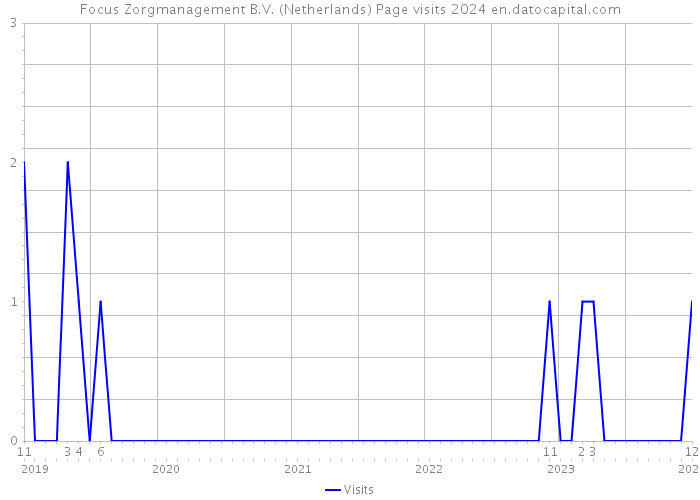 Focus Zorgmanagement B.V. (Netherlands) Page visits 2024 